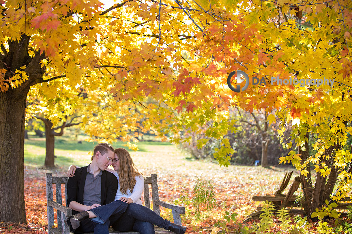 Engagement photographer in Guelph at the Arboretum