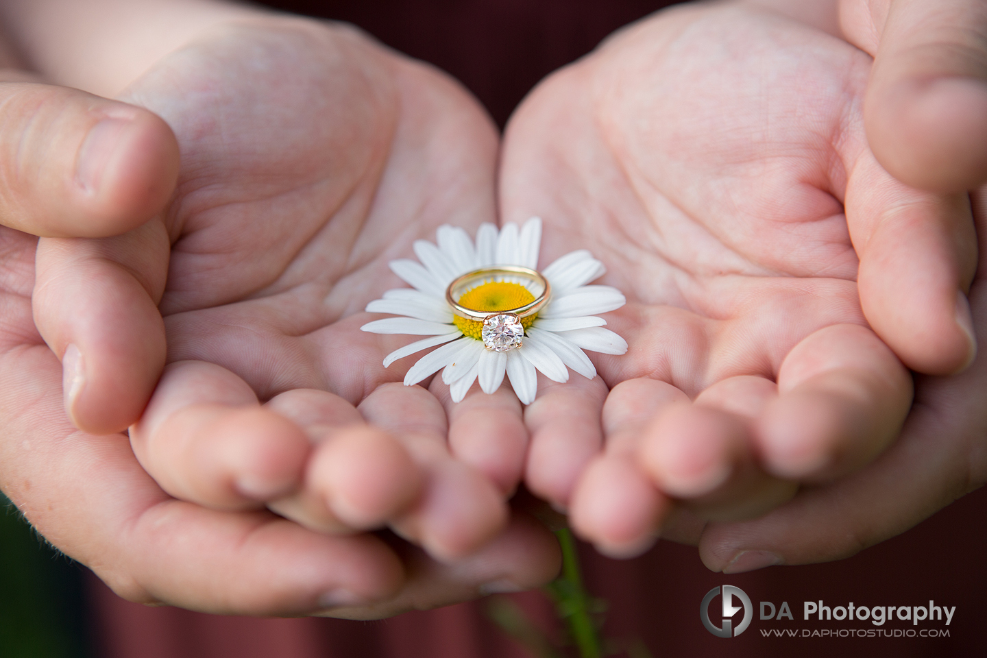 A couple holding an engagement ring next to a daisy flower