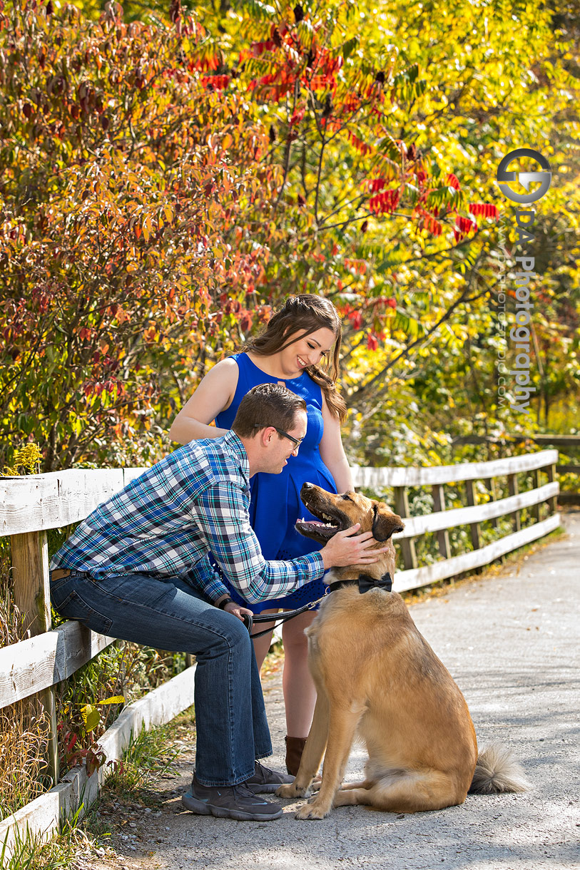 Best Lincoln Engagement Photo Location with Dogs