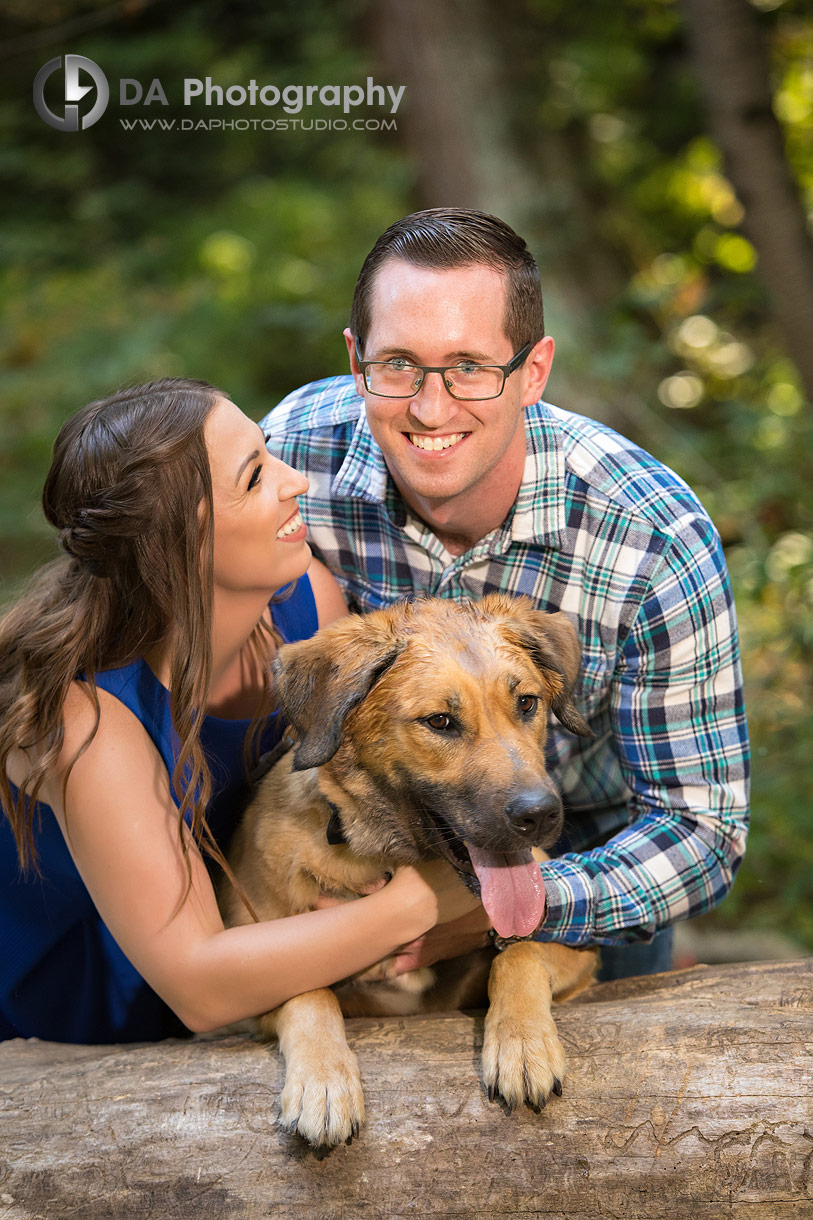 Top Engagement Photo Locations in Lincoln with dogs