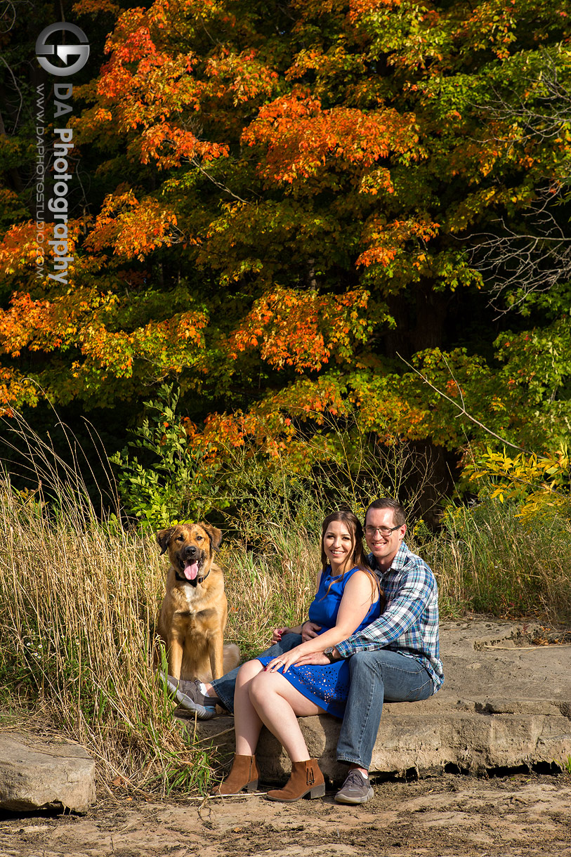 Lincoln Engagement Photography with a dog