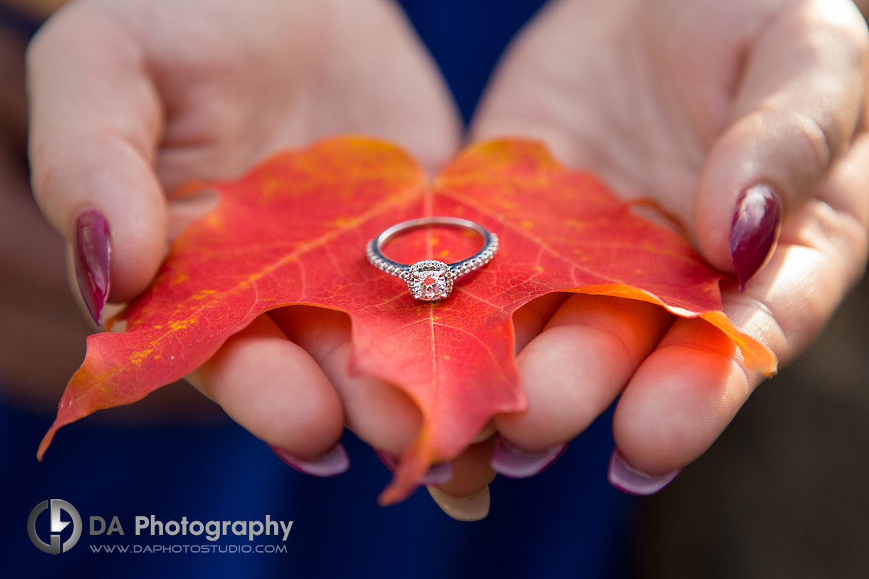 Hands holding a red maple feaf with a engagement ring on it