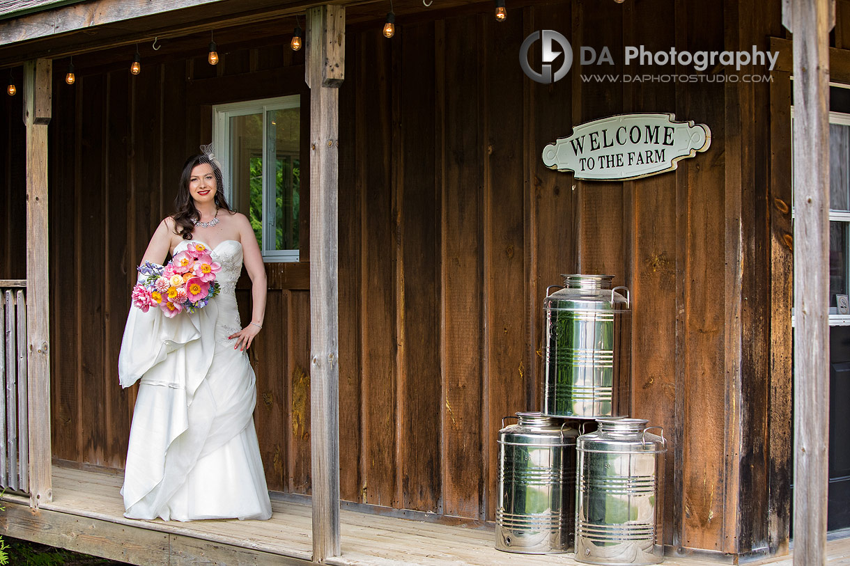 Wedding Dress at CJ Country Events weddings Wedding Dress at CJ Country Events weddings