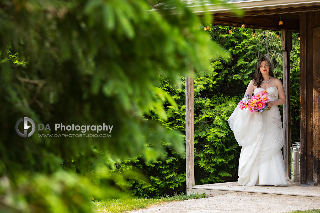 CJ Country Events Wedding Photo CJ Country Events Wedding Photo