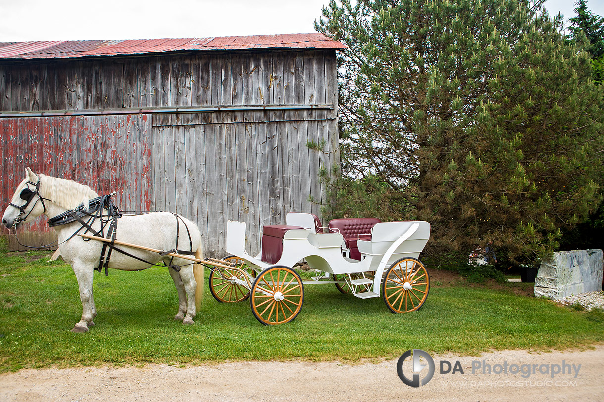 Horse carriage at CJ Country Events wedding Horse carriage at CJ Country Events wedding