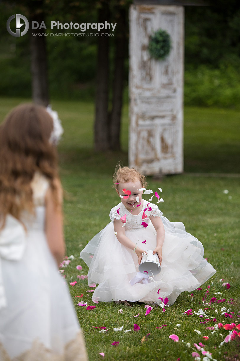 Flower girl spreading petals on a wedding ceremony Flower girl spreading petals on a wedding ceremony