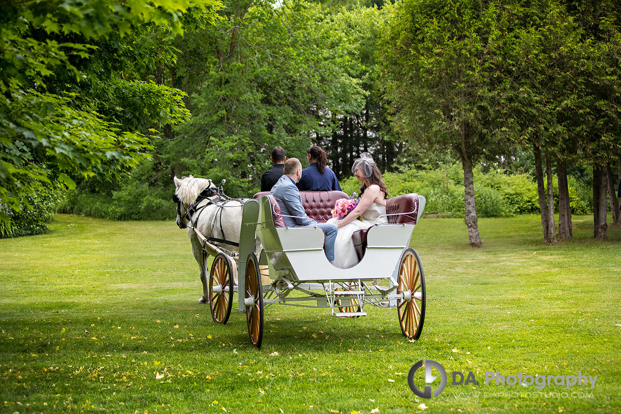 Bride and Groom arriving at their ceremony in Horse carriage at CJ Country Events wedding Bride and Groom arriving at their ceremony in Horse carriage at CJ Country Events wedding