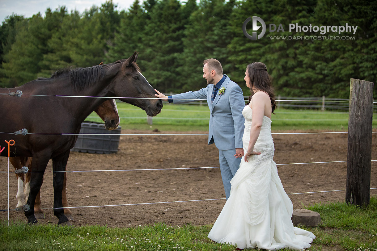 Farm Wedding Photos in Rockwood Farm Wedding Photos in Rockwood