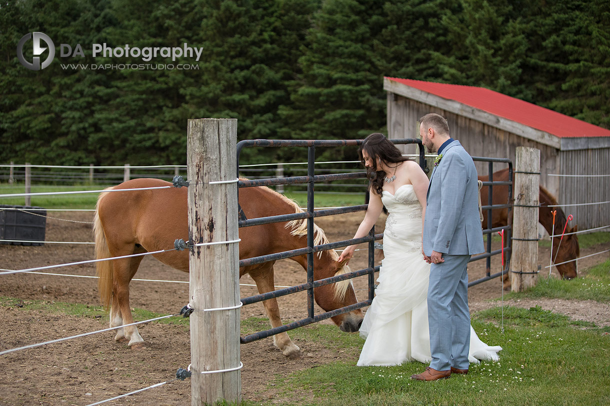 CJ Country Events Photographs with horses CJ Country Events Photographs with horses
