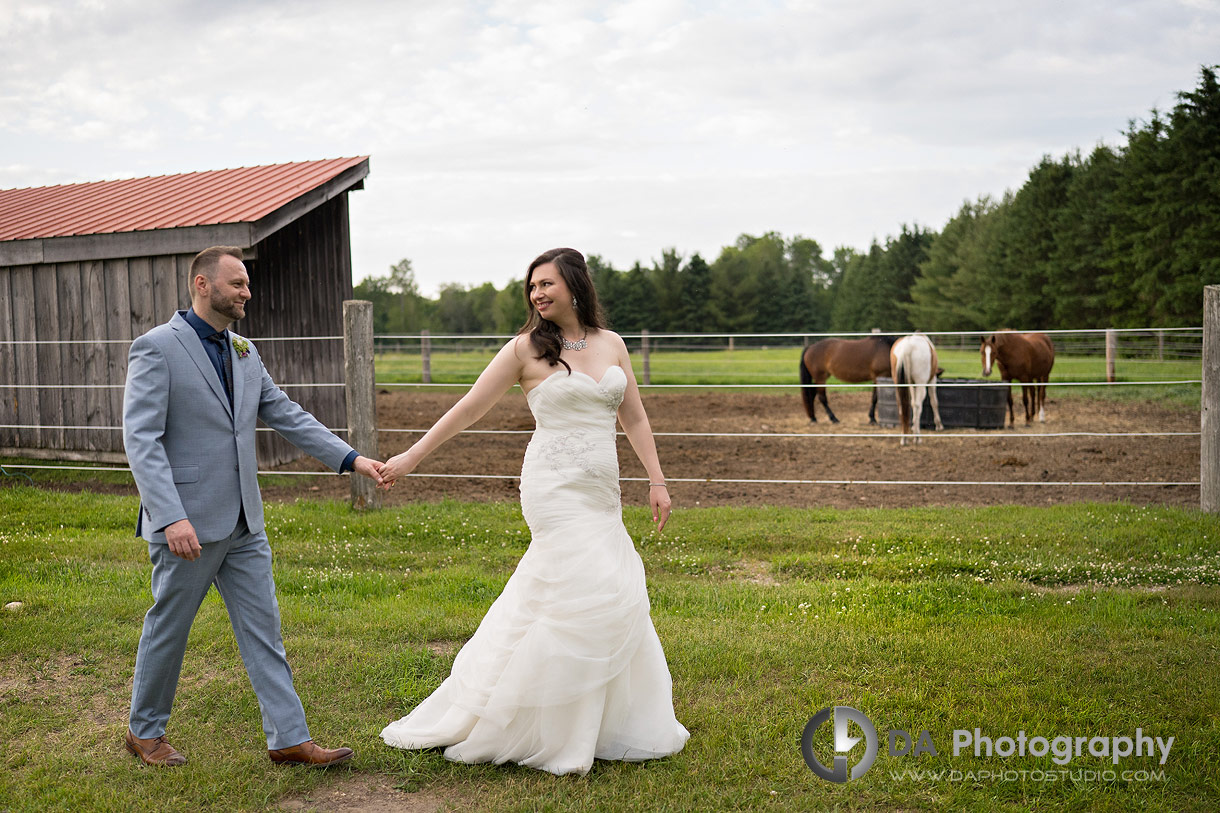 Farm Outdoor Wedding with horses Farm Outdoor Wedding with horses
