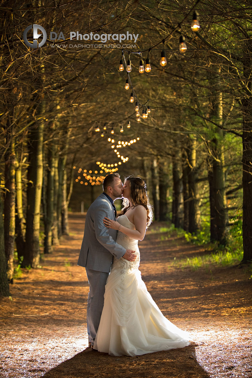 Top Wedding Photographers in Rockwood Top Wedding Photographers in Rockwood