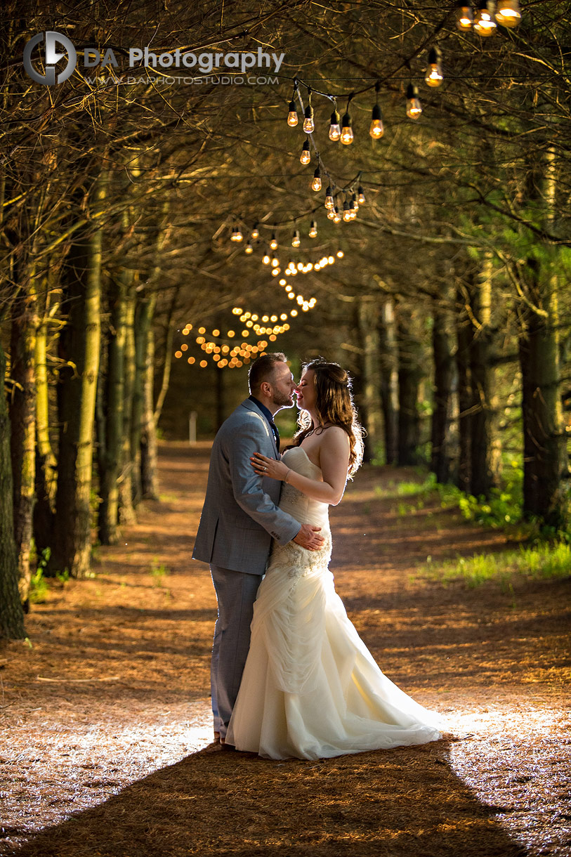 Best Rockwood Wedding Venues for Nighttime Photography Best Rockwood Wedding Venues for Nighttime Photography