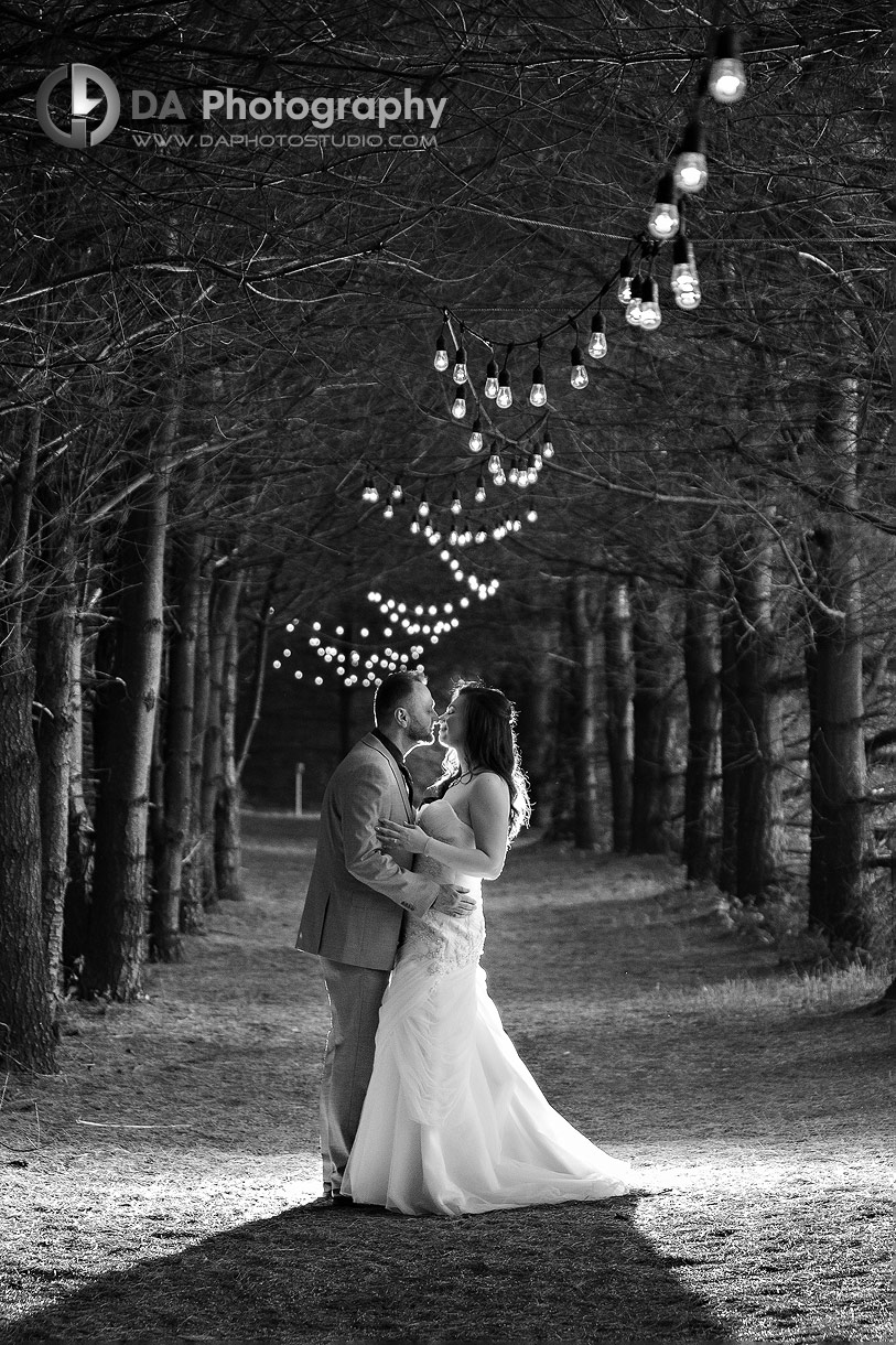 Bride and Groom at CJ Country Events wedding at Night Bride and Groom at CJ Country Events wedding at Night