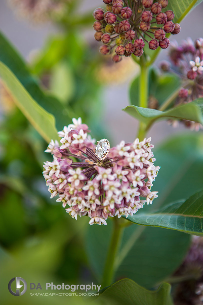 Close up photo of an engagement ring