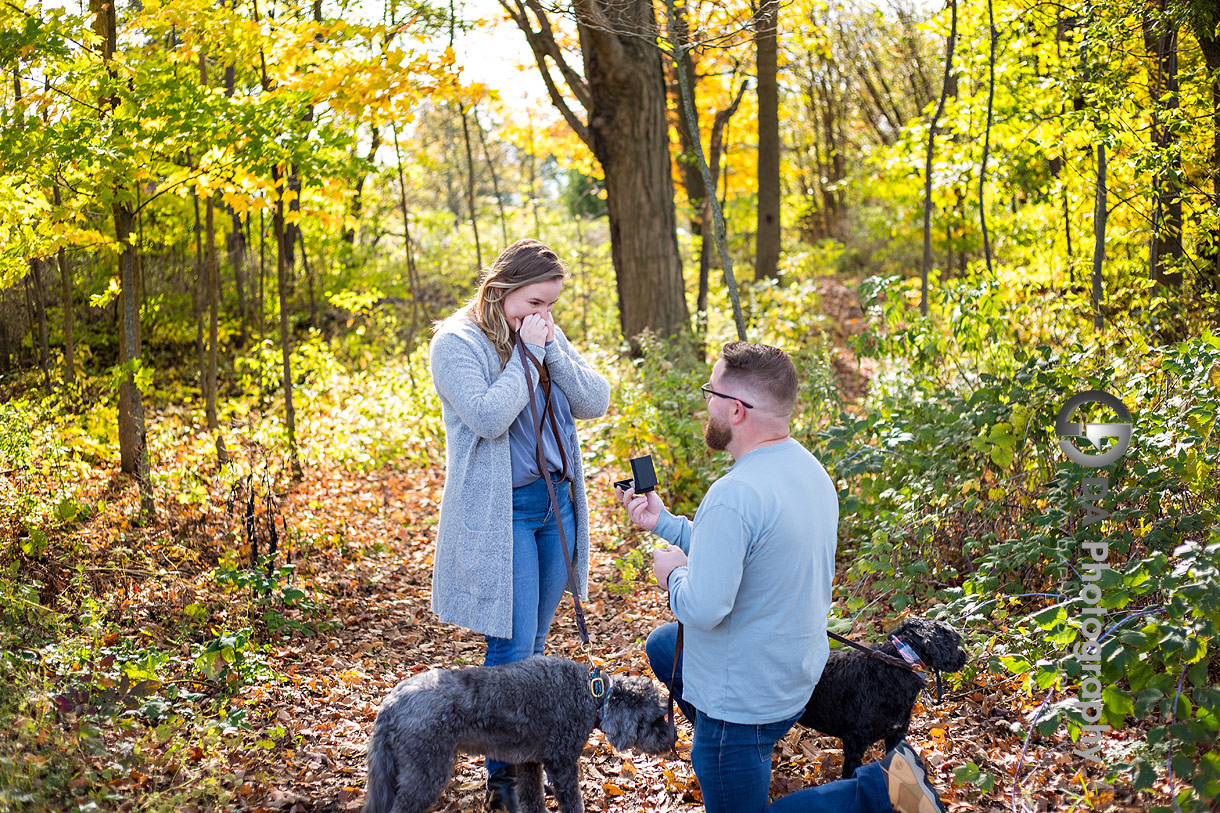 Proposal in Erin Proposal in Erin
