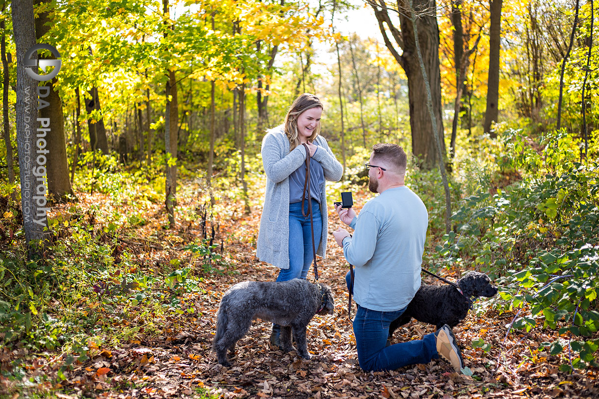 Proposals by Hillsburgh Pond in Erin Proposals by Hillsburgh Pond in Erin