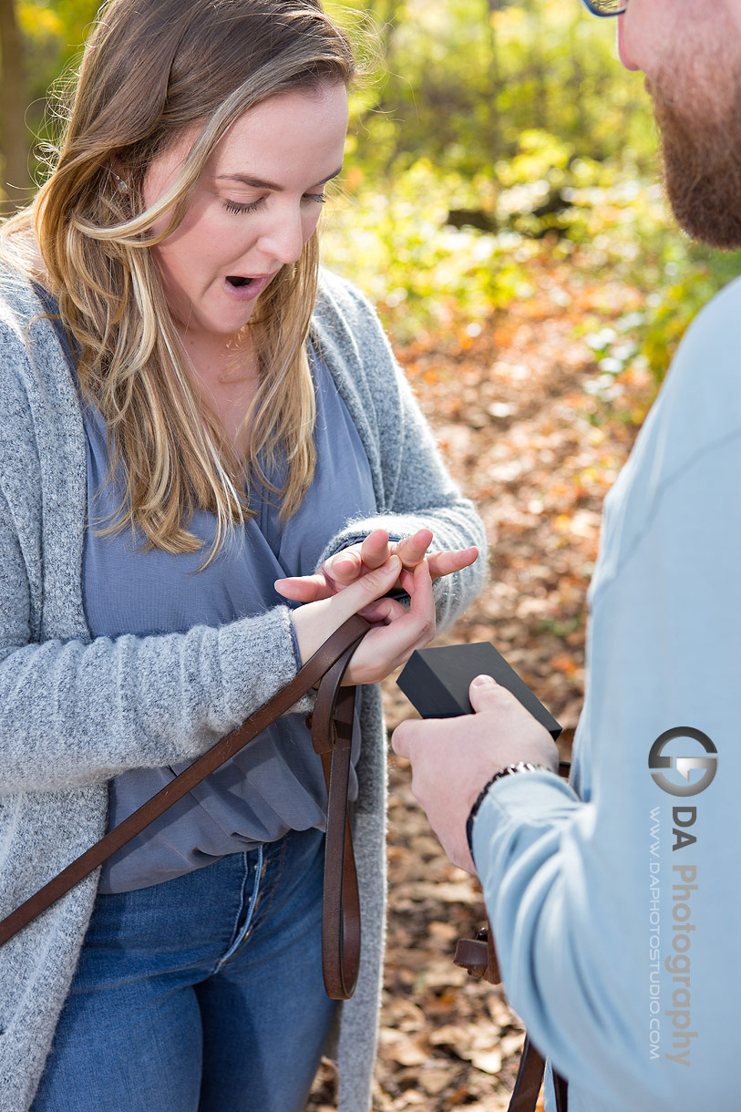 Proposal by Hillsburgh Pond in Erin Proposal by Hillsburgh Pond in Erin