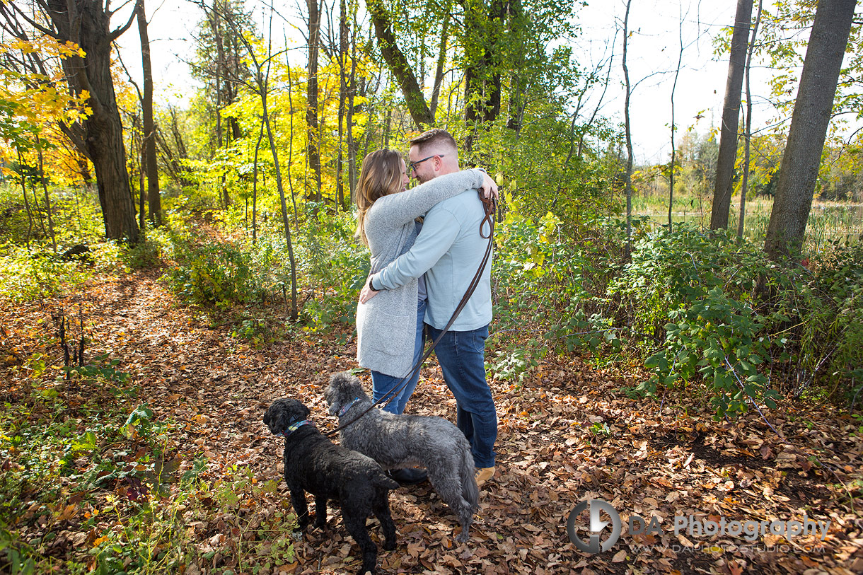 Proposal by Hillsburgh Pond Proposal by Hillsburgh Pond