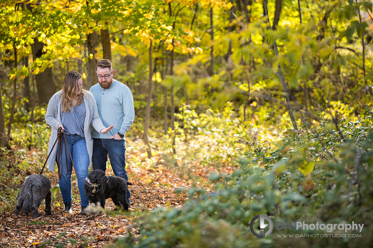 Surprise Proposal Photography Surprise Proposal Photography