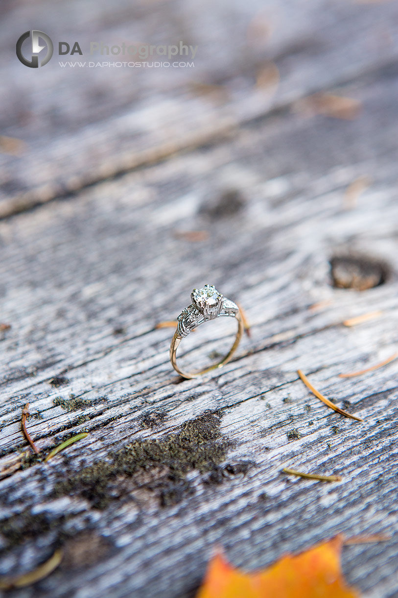 Marriage Proposal Photography Marriage Proposal Photography