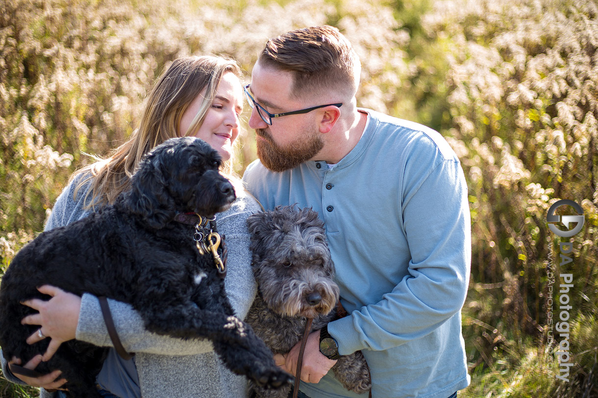 Best photo locations in Erin with dogs Best photo locations in Erin with dogs