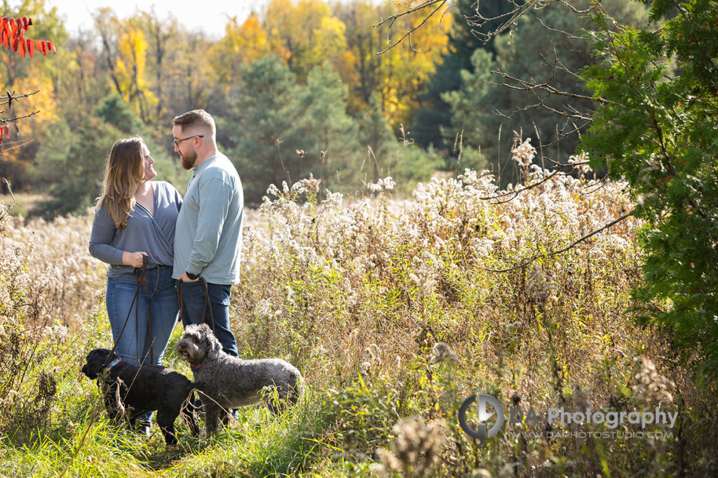 Proposals in Erin with dogs