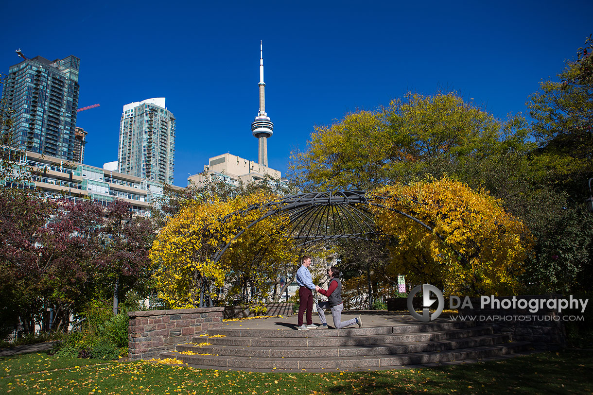 Toronto Music Garden Proposal