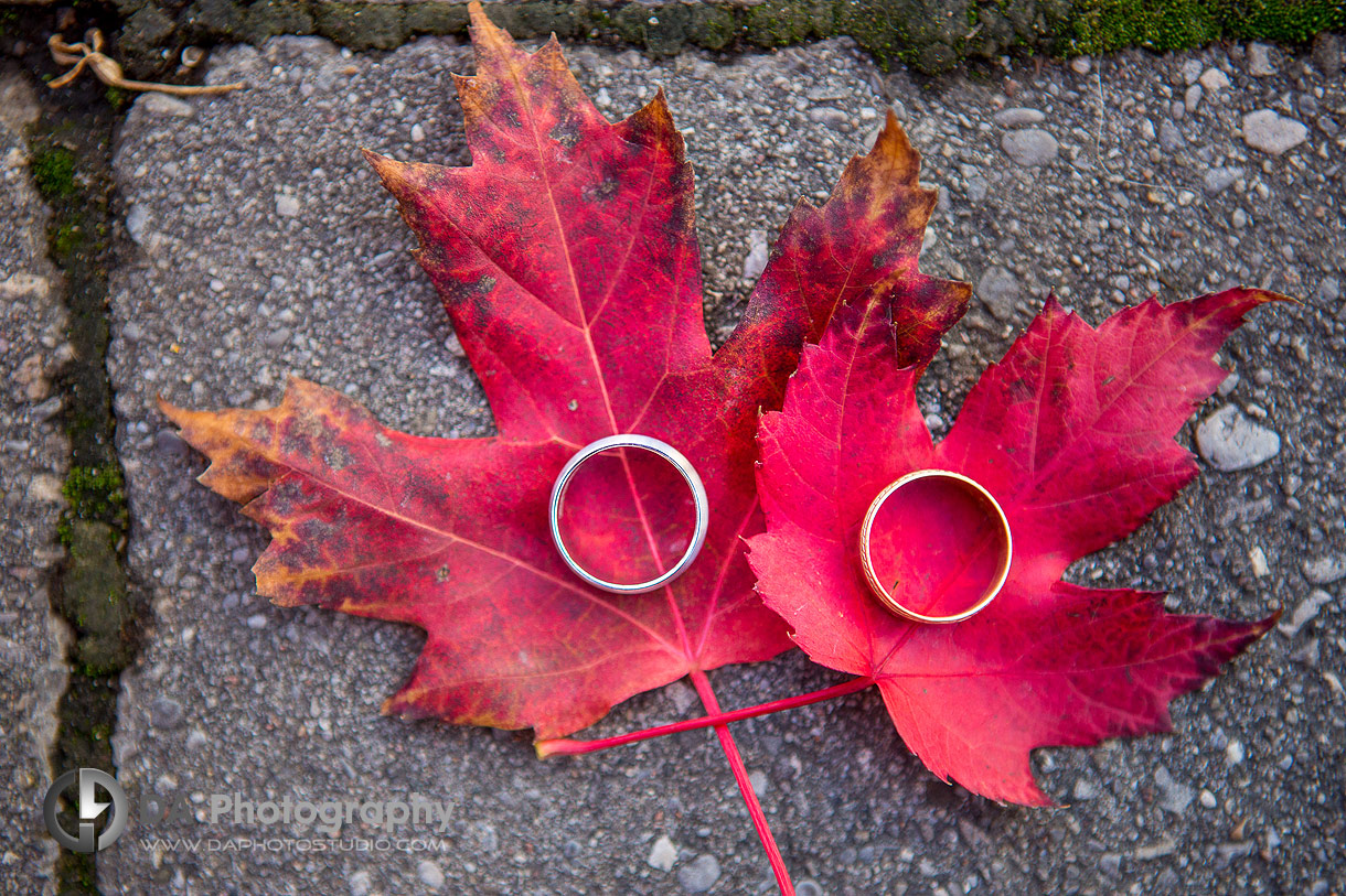 Photo of two engagement rings on a red maple leaf