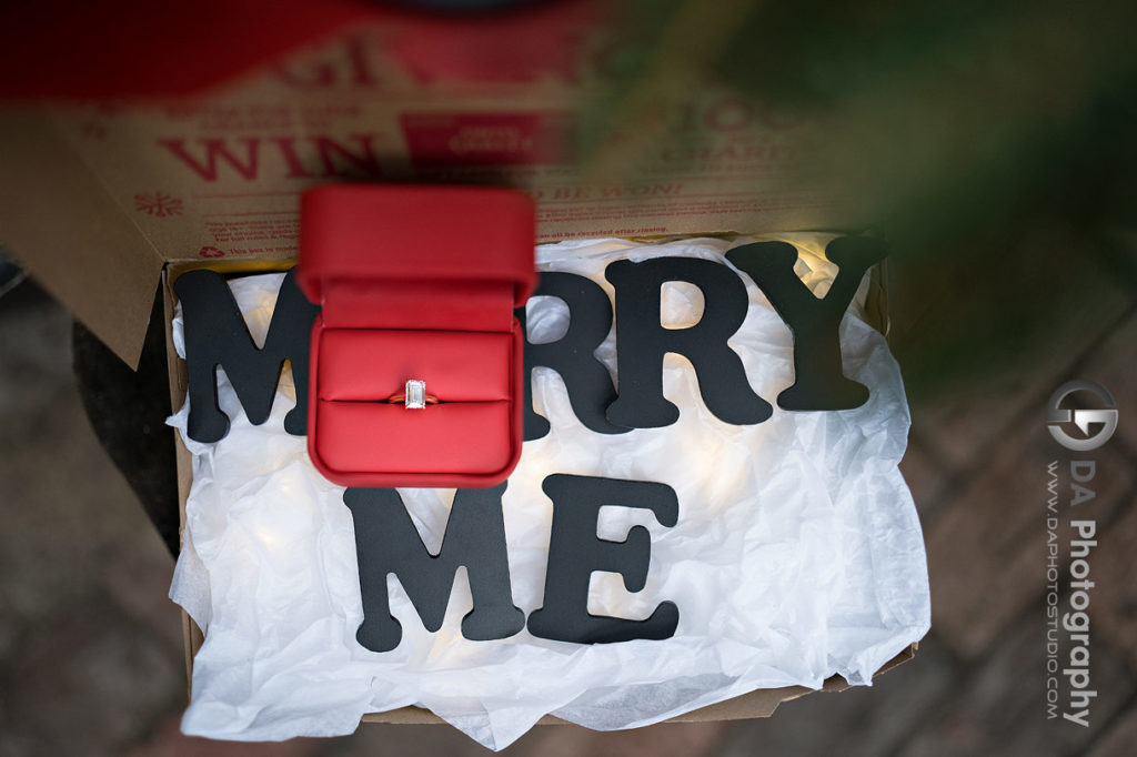 Surprise Proposal Photographer in Guelph