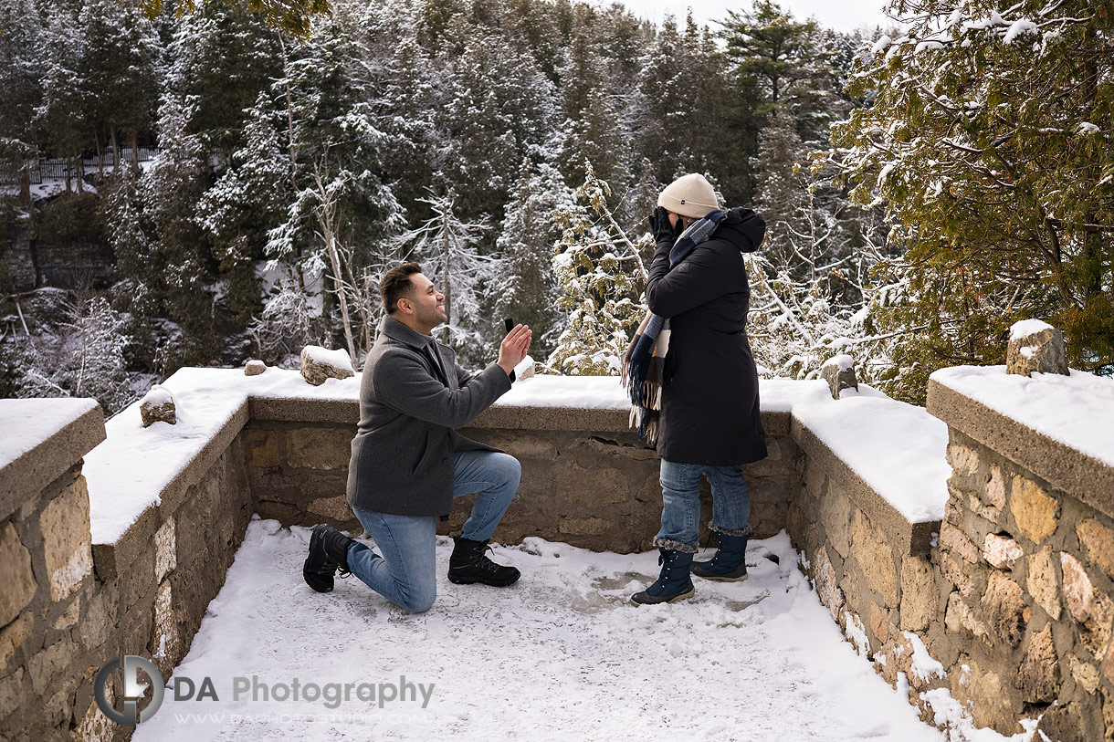 Winter Proposal at Elora