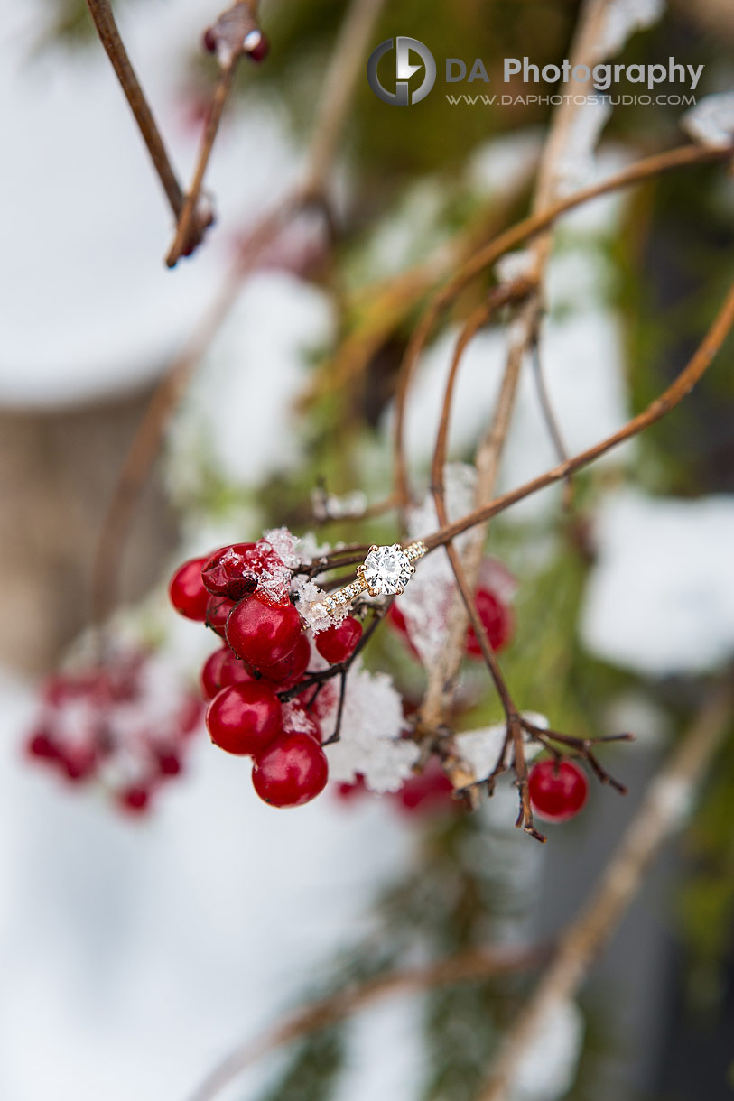 Photo of an engagement ring on a holly berries brunch in winter