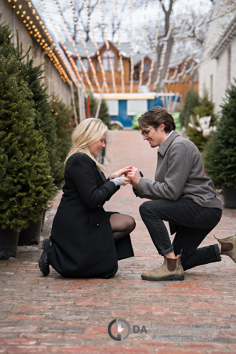 Proposal Photographer in Elora at the Christmas Market