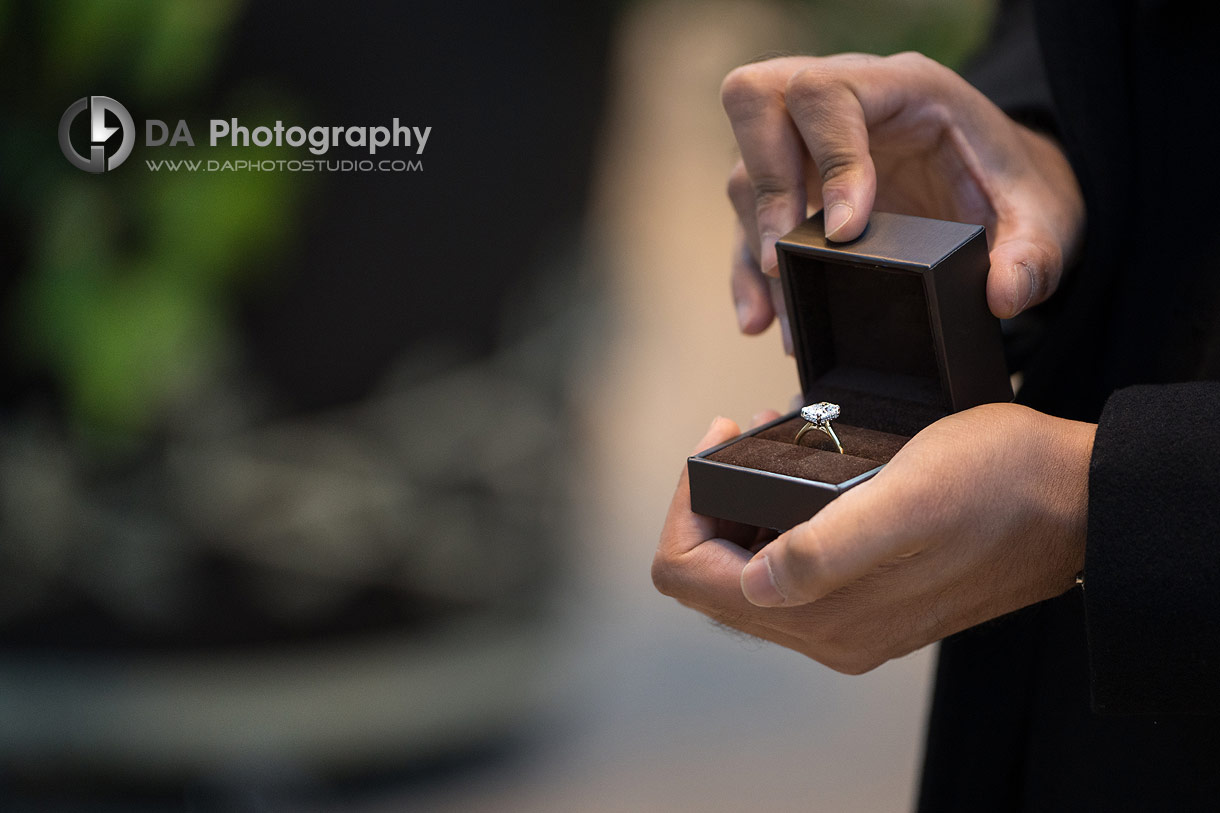 Allan Gardens Proposal Photographer